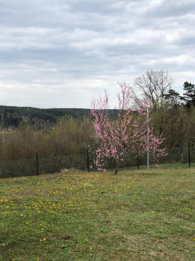 Landhaus Suedburgenland Βίλα Olbendorf Εξωτερικό φωτογραφία